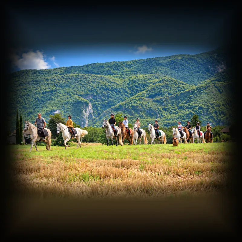 Collonies de vacances à cheval dans la Drome 26