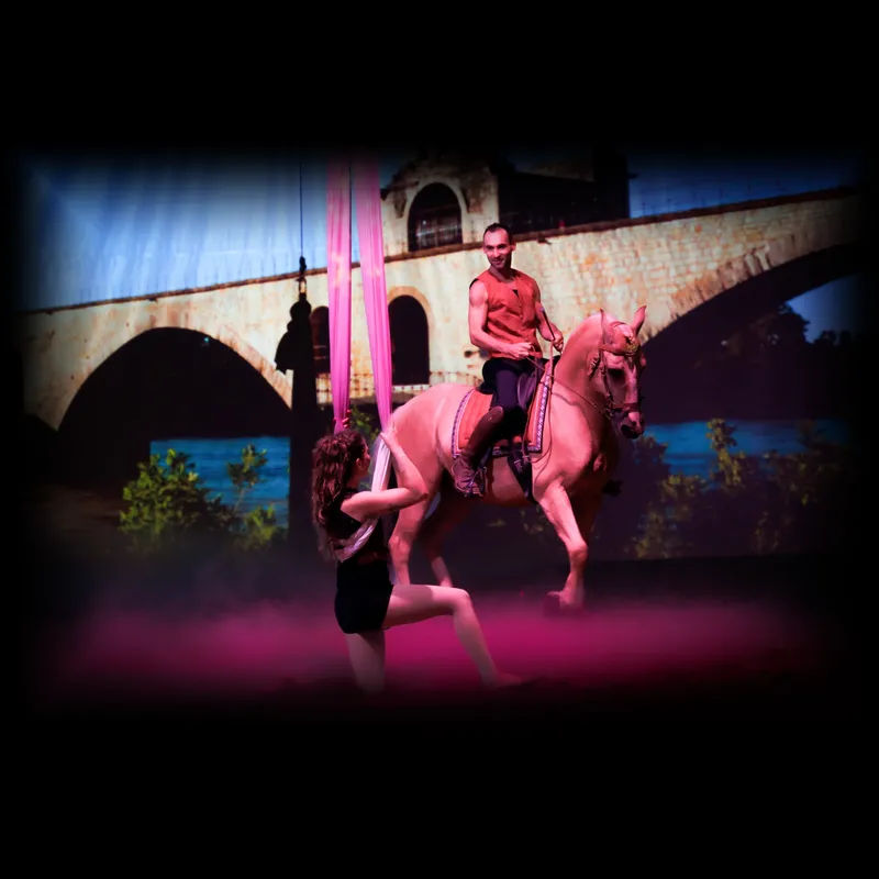 Spectacle & Théatre équestre